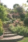 Main steps